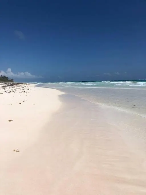 Luxury 2 Bdr 2 Bth 2 Bikes Jacuzzi Fiboptic Wifi. Apartment Tulum