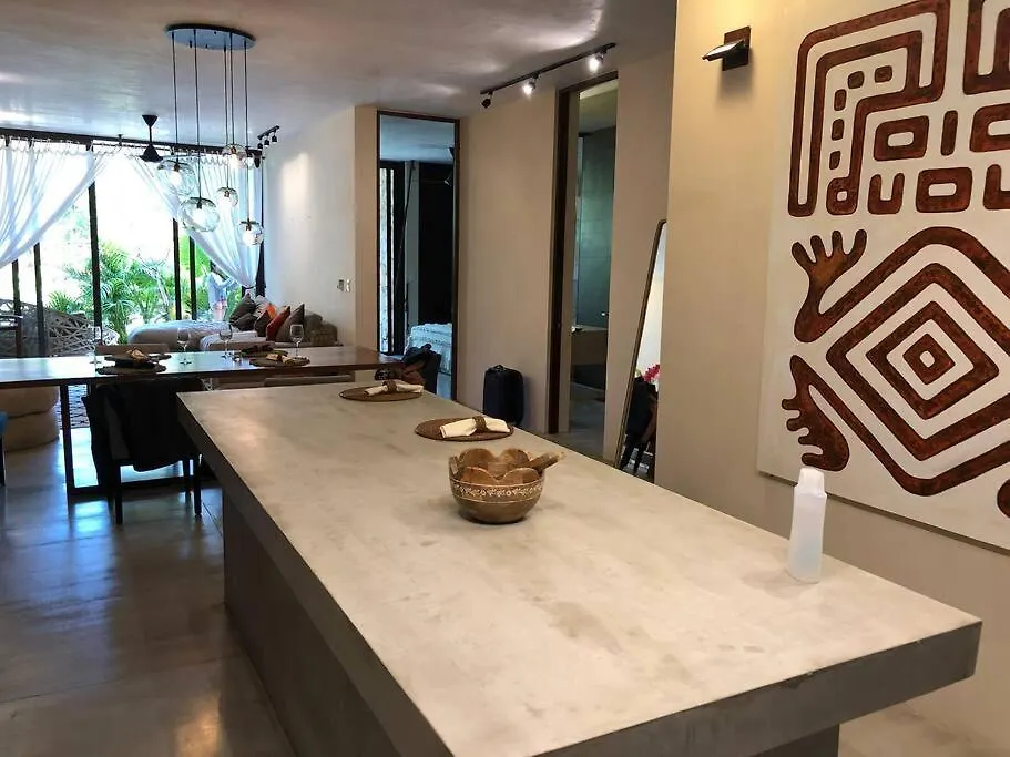 Luxury 2 Bdr 2 Bth 2 Bikes Jacuzzi Fiboptic Wifi. Apartment Tulum