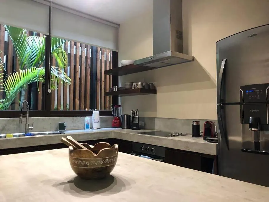 Luxury 2 Bdr 2 Bth 2 Bikes Jacuzzi Fiboptic Wifi. Apartment Tulum