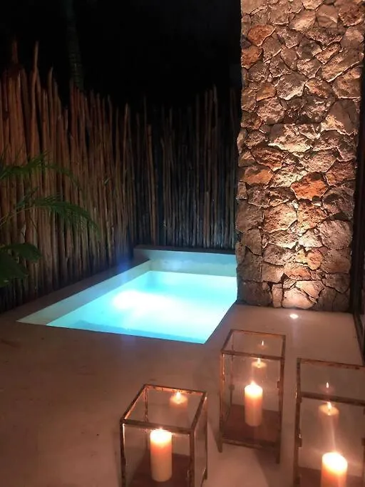 Luxury 2 Bdr 2 Bth 2 Bikes Jacuzzi Fiboptic Wifi. Apartment Tulum Mexico